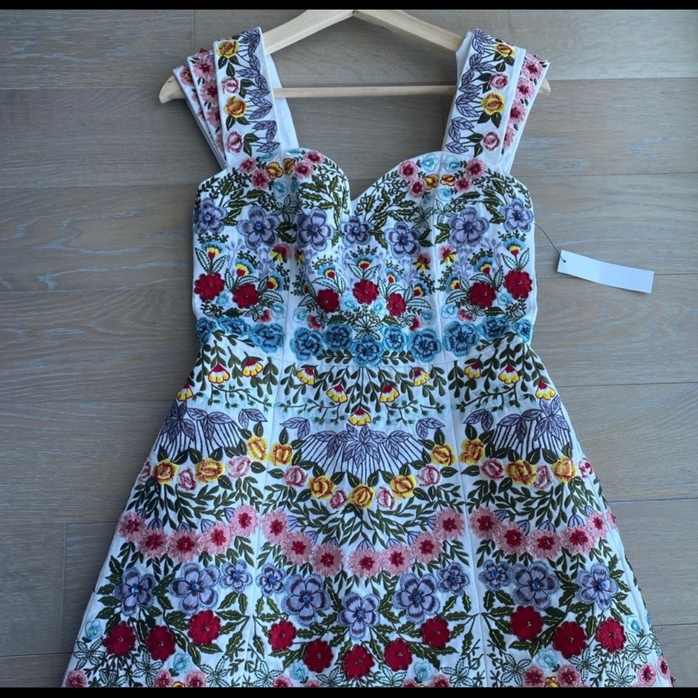 Alice + Olivia
Roz Floral Embroidered A-Line Dress